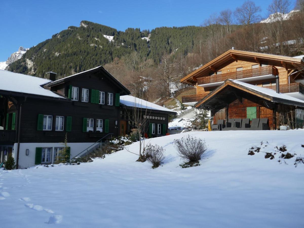 Apartment Schwendihus Grindelwald