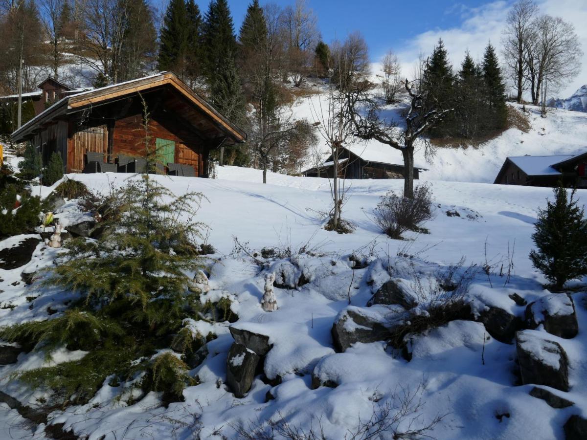 Apartment Schwendihus Grindelwald