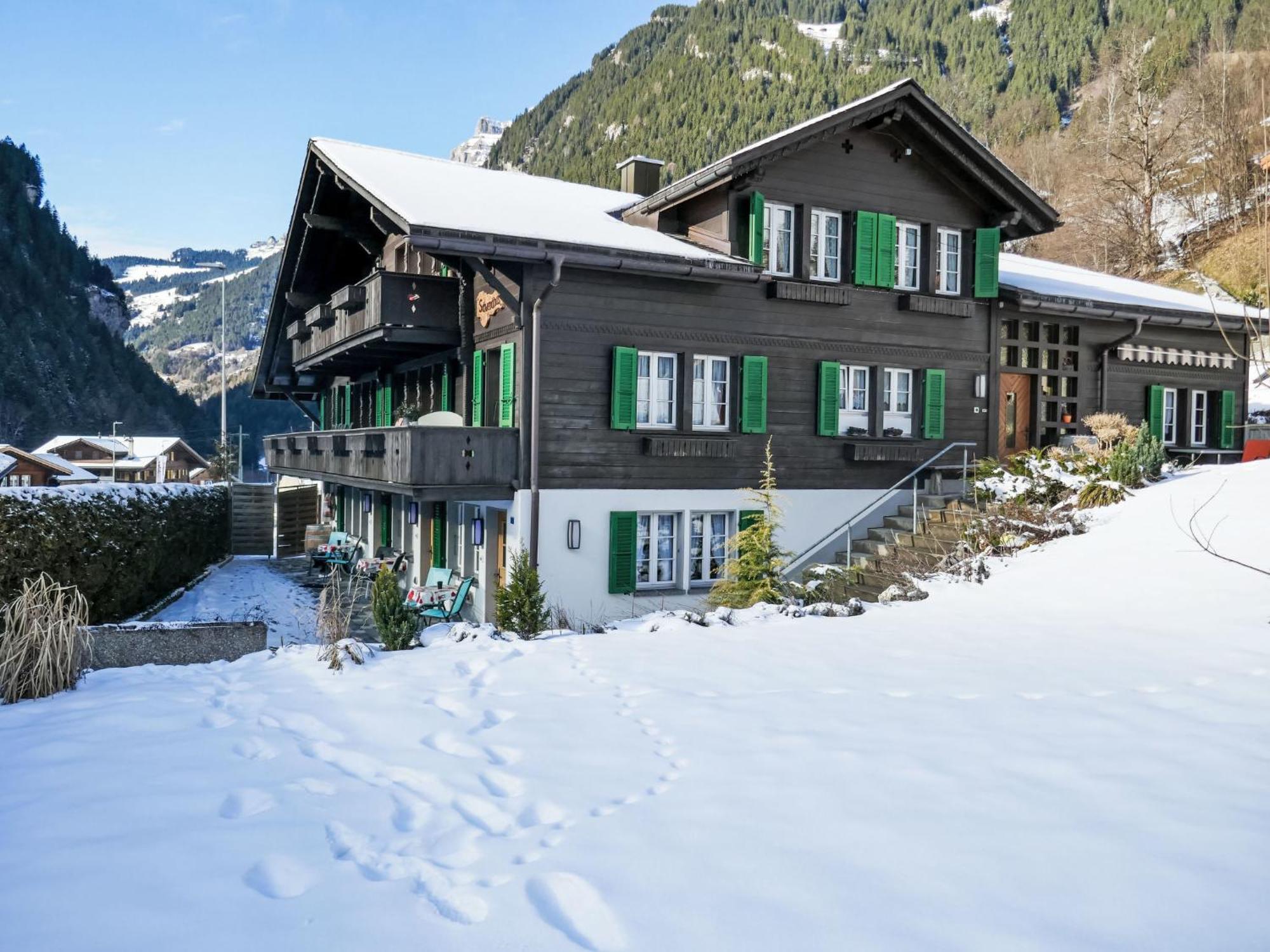 Apartment Schwendihus Grindelwald